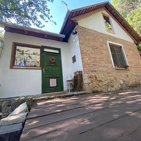 Rustic Cottage & Garden Retreat On Buda Hilltop ブダペスト エクステリア 写真
