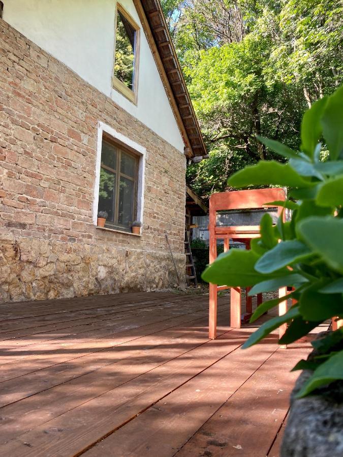 Rustic Cottage & Garden Retreat On Buda Hilltop ブダペスト エクステリア 写真