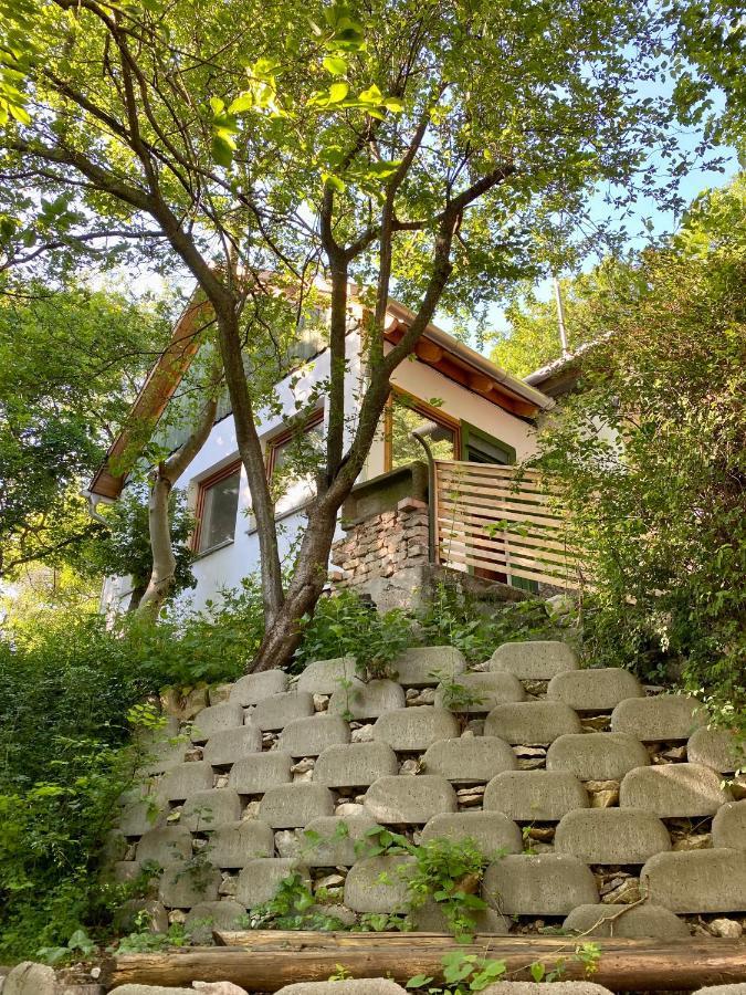 Rustic Cottage & Garden Retreat On Buda Hilltop ブダペスト エクステリア 写真