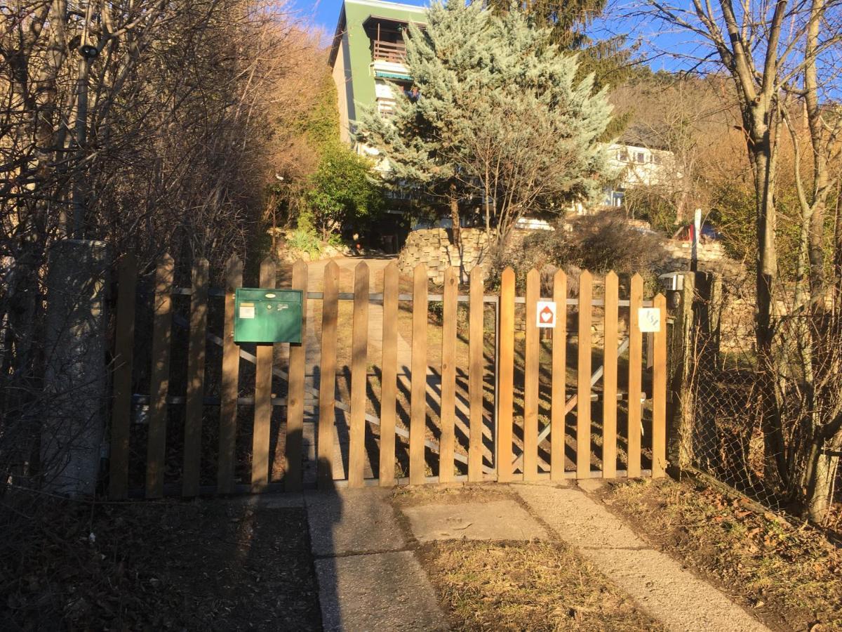 Rustic Cottage & Garden Retreat On Buda Hilltop ブダペスト エクステリア 写真