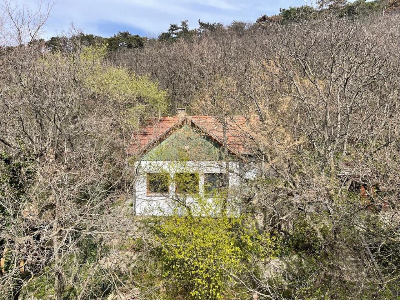 Rustic Cottage & Garden Retreat On Buda Hilltop ブダペスト エクステリア 写真
